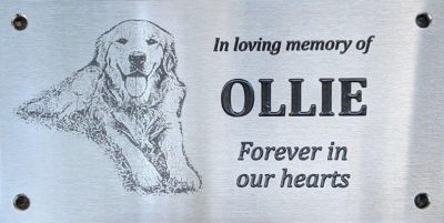 ollie